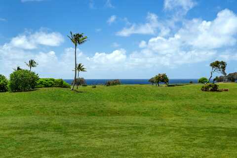 POHAIULA PL, Lihue, HI 96766