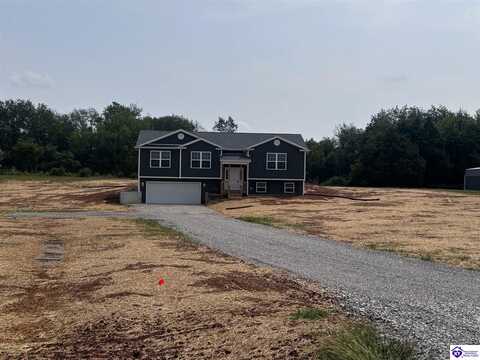 194 Reuben lane, Guston, KY 40142