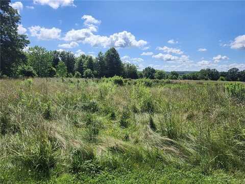 Walnut Street, Newtown, MO 64667