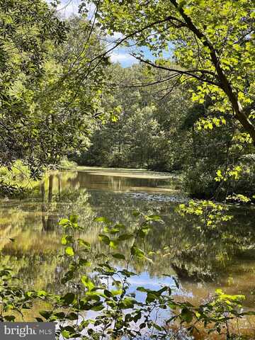 10C 9 3 18 FOREST GROVE SECTION, COLONIAL BEACH, VA 22443