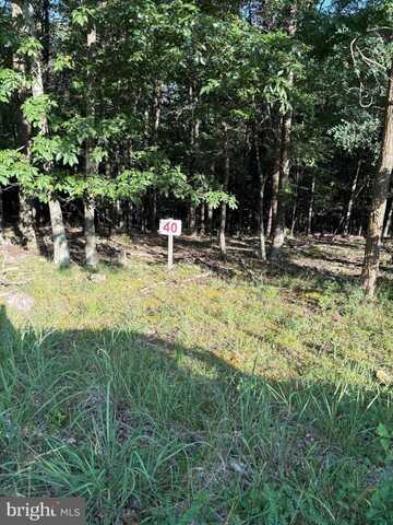 Lot 40 BERENGER DRIVE, PETERSBURG, WV 26847