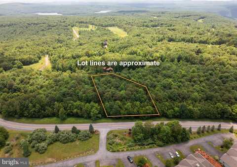 106 SNOWHAVEN LANE LANE, MC HENRY, MD 21541