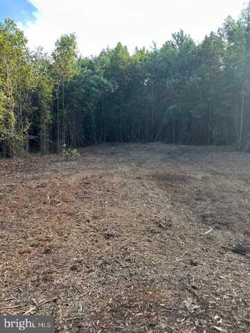 16173 JEFFERSON HIGHWAY, BUMPASS, VA 23024