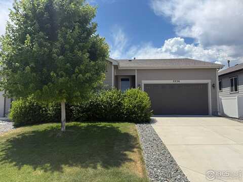 5536 Bexley Dr, Windsor, CO 80550
