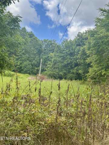 42. ac Clinch River Rd, Tazewell, TN 37879