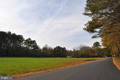 0 WILLIAMS MILL POND ROAD, DELMAR, MD 21875