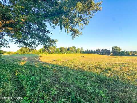 Lot 18 Summerset Farms Drive, Talbott, TN 37877