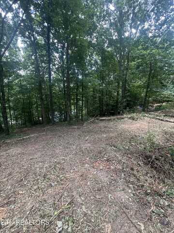 6018 Nottingham Rd, Knoxville, TN 37918