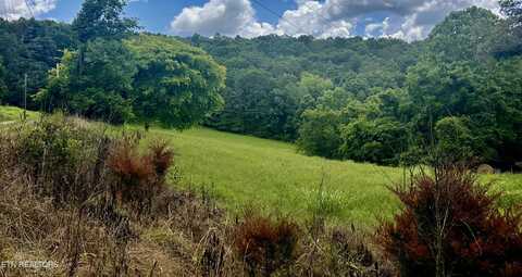 TBD Clinch River Rd, Tazewell, TN 37879