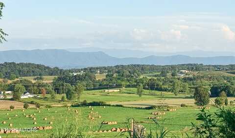 Lot 16 Summerset Drive, Talbott, TN 37877