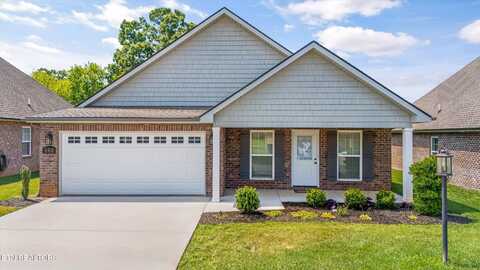 202 Sand Hills Drive, Maryville, TN 37801