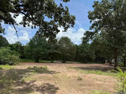 519 Perkins Loop, Diana, TX 75640