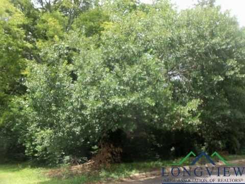 3411 Larkspur Lane, Kilgore, TX 75662