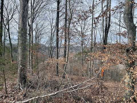 Stillwater lot: 83, Russell Springs, KY 42642