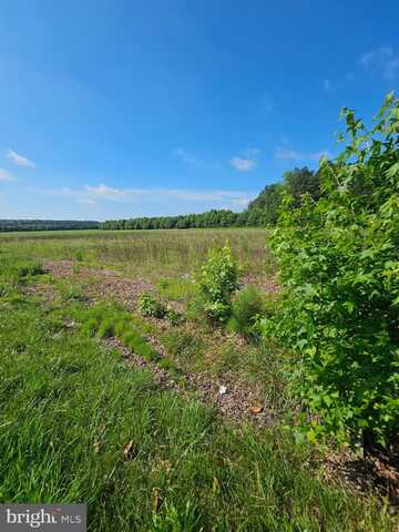 Lot 1 HARBESON RD, HARBESON, DE 19951