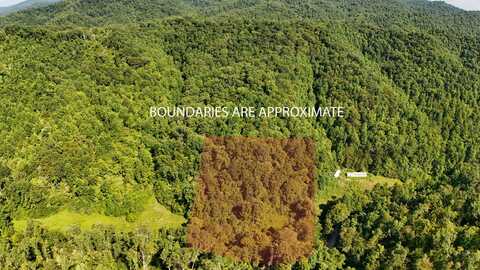0 Dissapointment Hollow Road, Barbourville, KY 40906