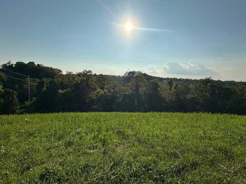 17a Bald Hill, Carlisle, KY 40311