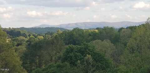 Tbd Horseshoe Bend Rd 6.88 +/-, Jonesborough, TN 37659