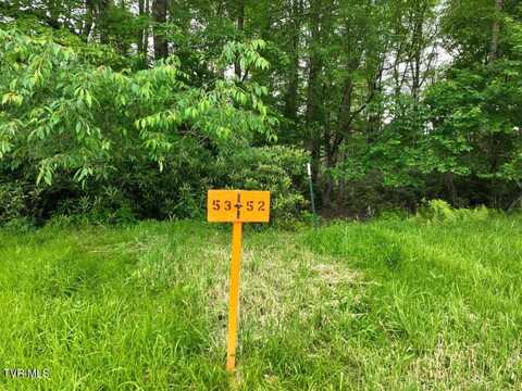 1762 Ripshin Mountain Road, Roan Mountain, TN 37687