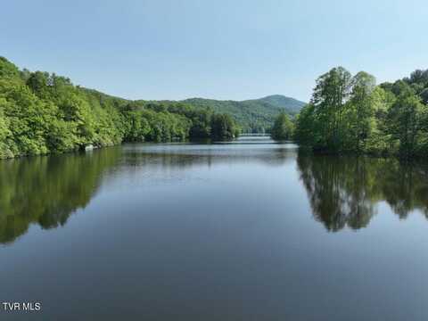 1776 Ripshin Mountain Road, Roan Mountain, TN 37687