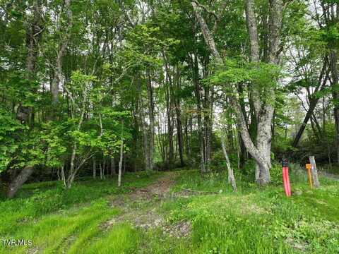 1776 Ripshin Mountain Road, Roan Mountain, TN 37687