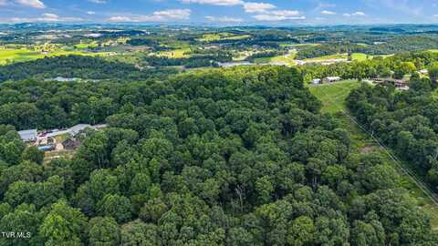 293 West Panoramic View Drive, Greeneville, TN 37743