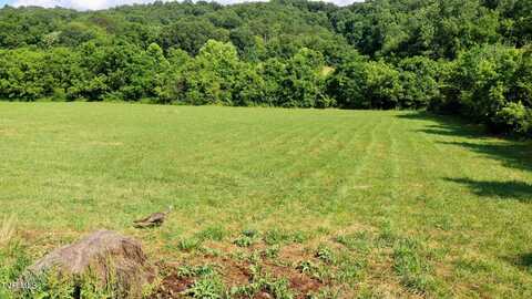 350 North Vfw Road, Bulls Gap, TN 37711