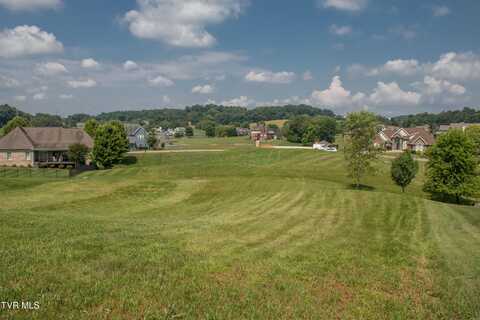 112 Cardinal Point, Blountville, TN 37617
