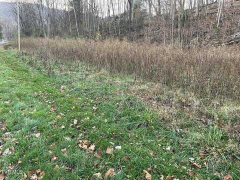 Tbd Greenbrook Circle, Unicoi, TN 37692