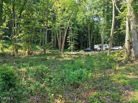 00 Irondale Road, Big Stone Gap, VA 24219