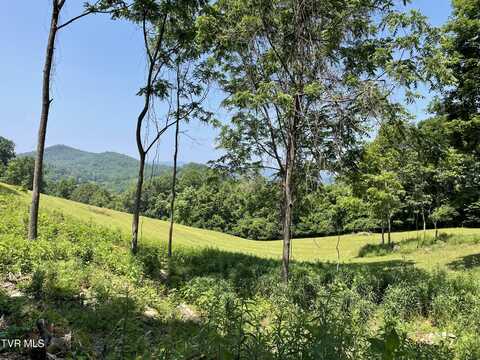 Tbd Lake Mist Trail, Butler, TN 37640