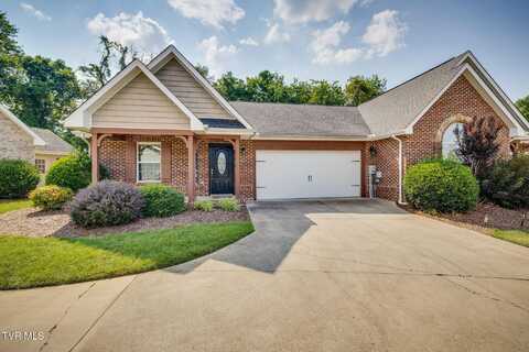 207 Bridgewater Court, Gray, TN 37615