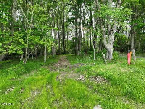 1768 Ripshin Mountain Road, Roan Mountain, TN 37687
