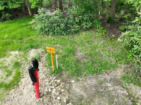1772 Ripshin Mountain Road, Roan Mountain, TN 37687