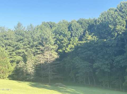 Tbd Off Warrior/Country Acres Lane, Elizabethton, TN 37643