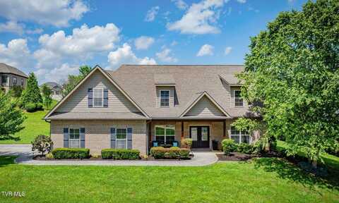 38 Mia Gracie Court, Johnson City, TN 37615