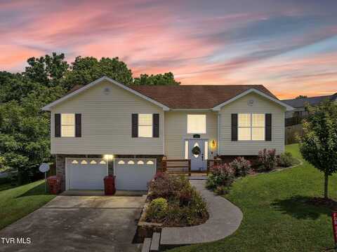 1001 Kennesaw Drive, Johnson City, TN 37615