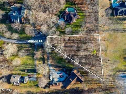 Allison Court, Piney Flats, TN 37686