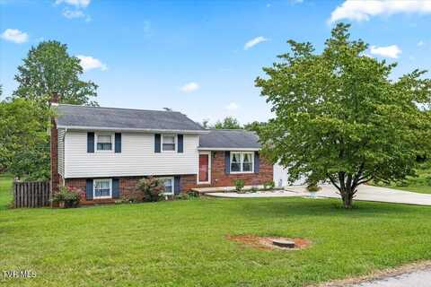 1540 Maple Hill Dr Drive, Mount Carmel, TN 37645