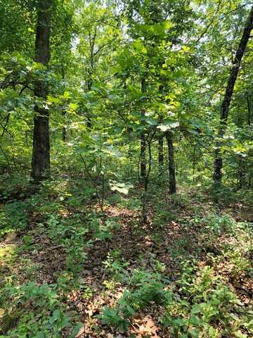Sulphur Creek Rd off, BIG SANDY, TN 38221