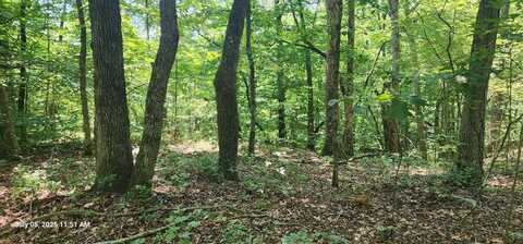 Redbud Rd, SUGAR TREE, TN 38380