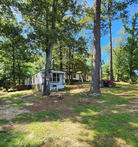 115 Pleasant Grove Rd, SPRINGVILLE, TN 38256