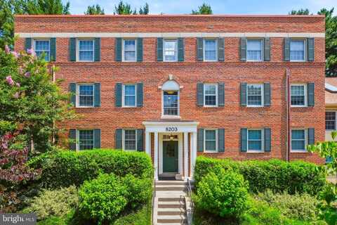 8203 GRUBB RD #201, SILVER SPRING, MD 20910