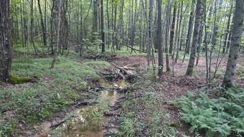 Tract 4 Airport Rd - Piney Creek Acres, Rockwood, TN 37854