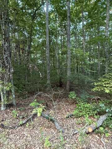 Lot 5 Clyde Place, MONTEREY, TN 38574