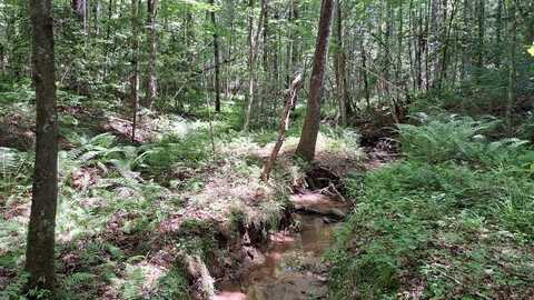 Tract 27 Airport Rd - Piney Creek Acres, Rockwood, TN 37854