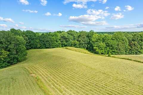 Eulis Anderson Rd, WHITLEYVILLE, TN 38588
