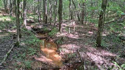 Tract 1 Airport Rd - Piney Creek Acres, Rockwood, TN 37854