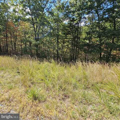 LOT 21 MOUNDBUILDER LOOP, HEDGESVILLE, WV 25427