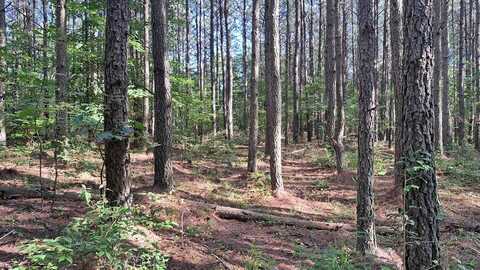 Tract 6 Airport Rd – Piney Creek Acres, Rockwood, TN 37854